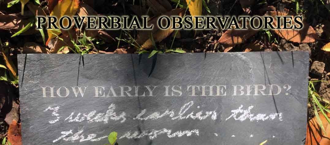 PROVERBIAL OBSERVATORIES